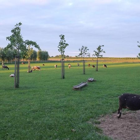 Bed and Breakfast De Nachtdijk Wijk bij Duurstede Esterno foto