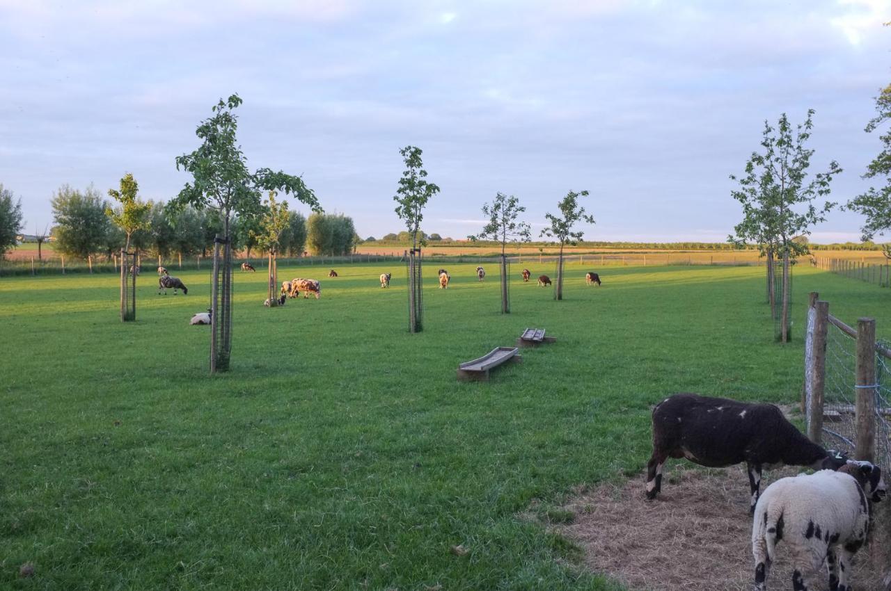 Bed and Breakfast De Nachtdijk Wijk bij Duurstede Esterno foto