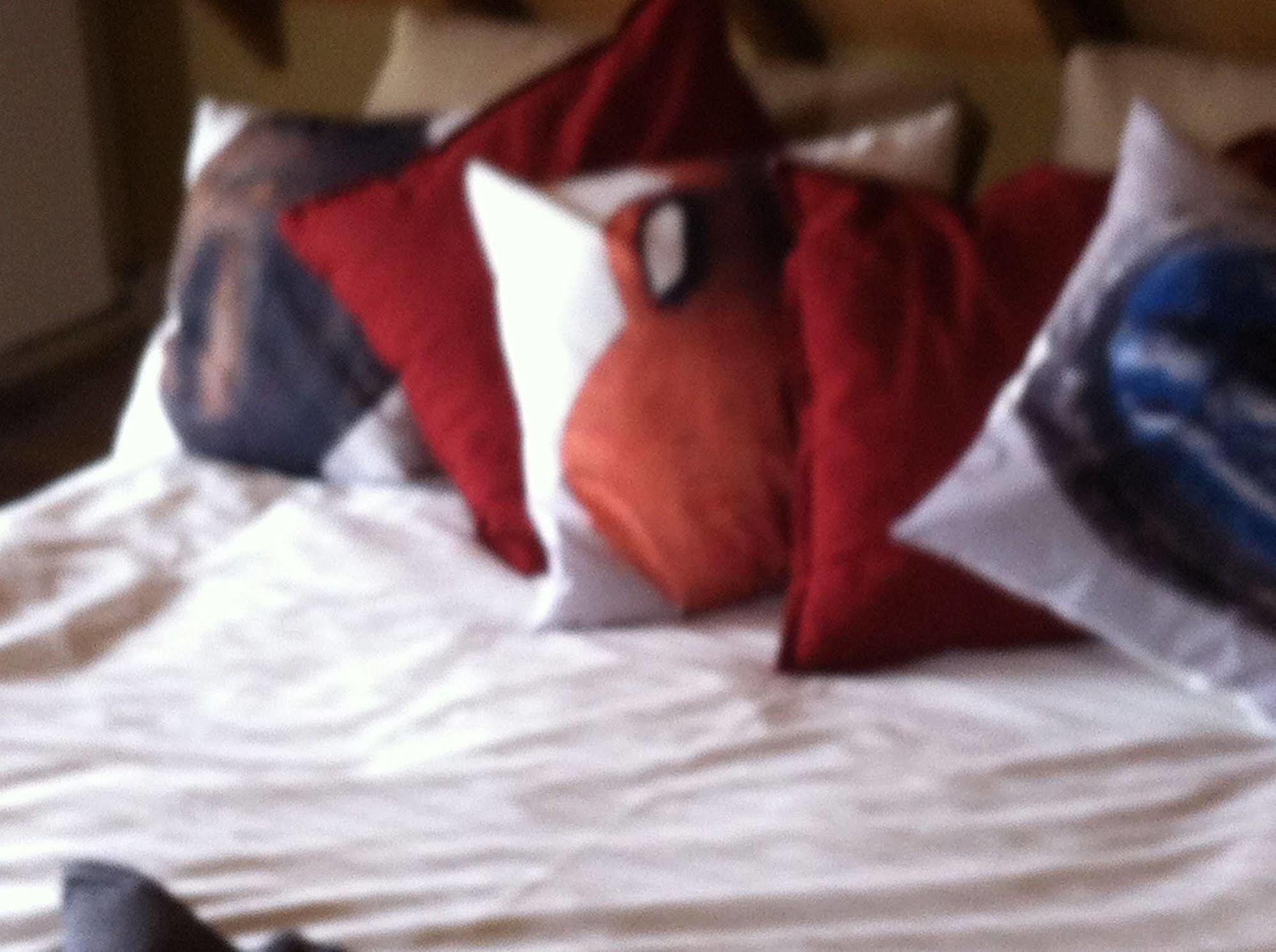 Bed and Breakfast De Nachtdijk Wijk bij Duurstede Esterno foto